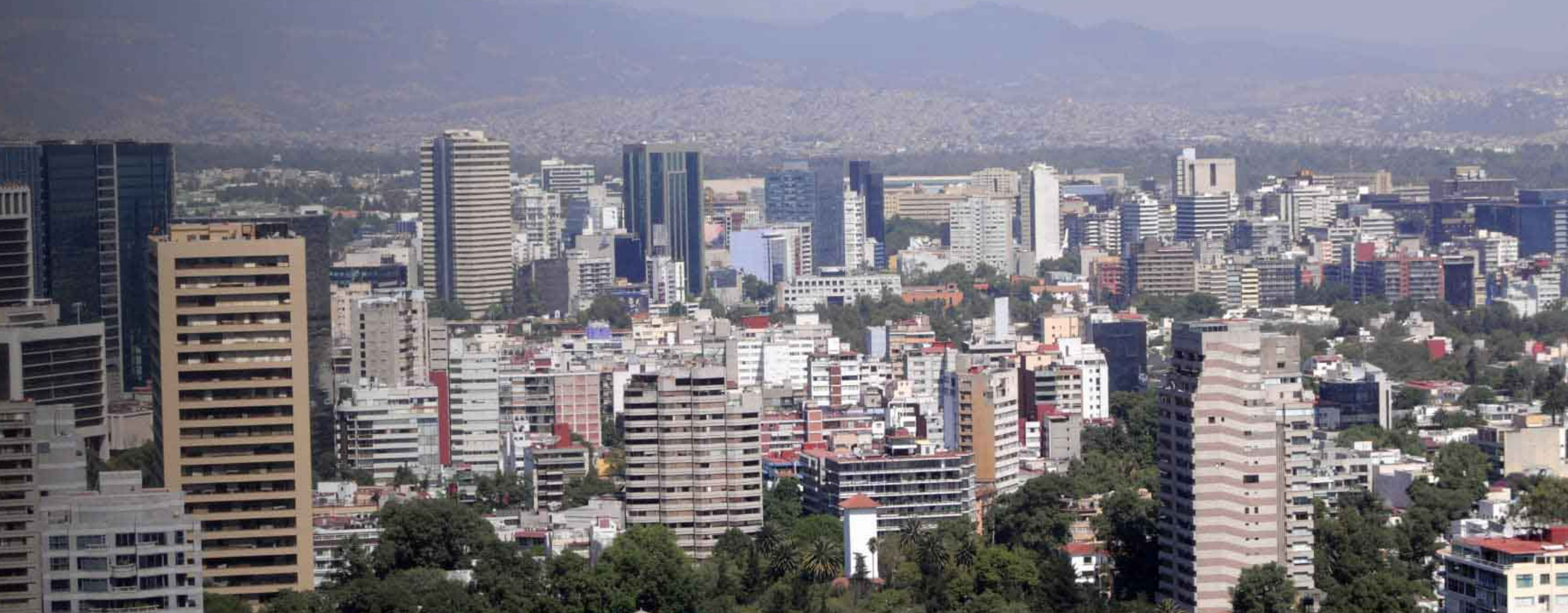 Imagen de contacto